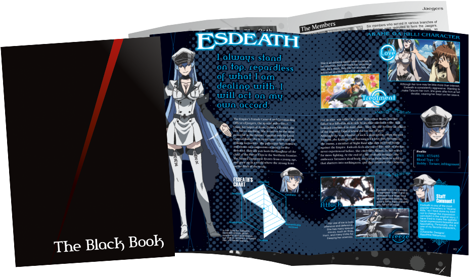 Outer Box • Hard Cover Booklet - Akame Ga Kiru Esdese Dress Cosplay Costume Custom (946x567), Png Download