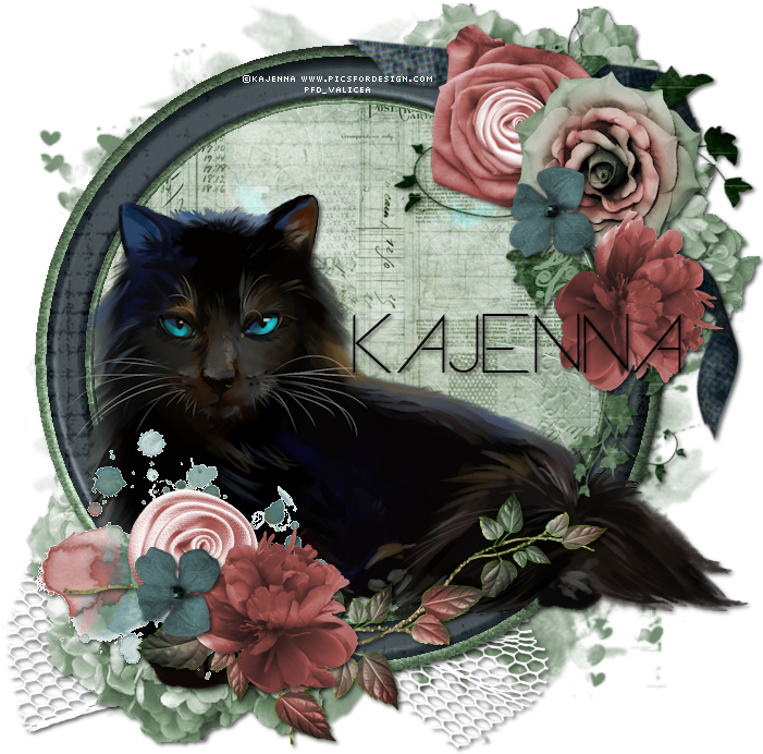 Black Mage - Black Cat (700x700), Png Download