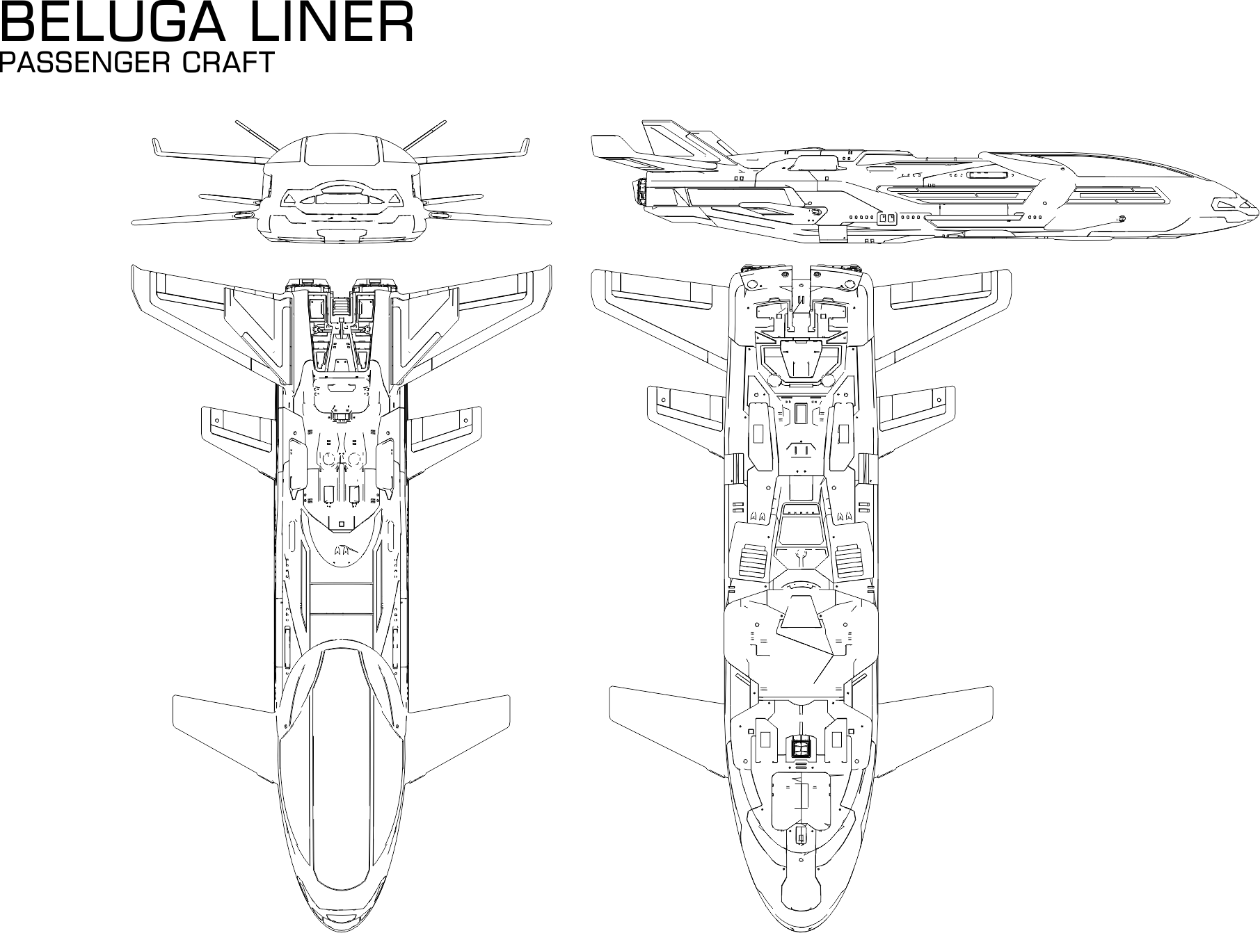 Saud Kruger Beluga Liner From Elite - Beluga Whale (1811x1342), Png Download