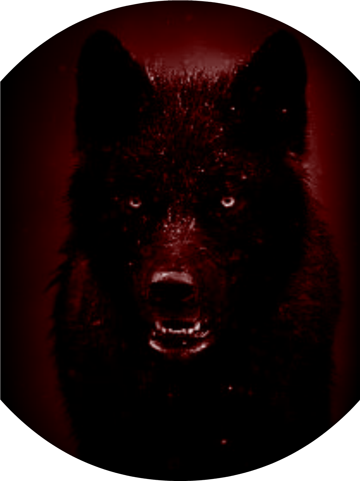 Ghastly - American Black Bear (1209x1724), Png Download