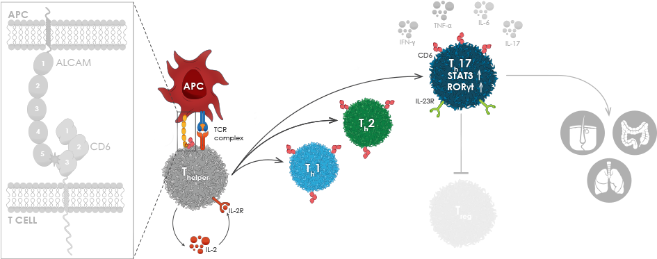 Tabs A Panel 2 V2 - Logo (960x400), Png Download