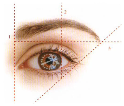 Diseño De Ceja - Diseño De La Ceja (411x349), Png Download