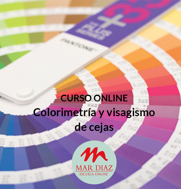 Curso Online De Colorimetría Y Visagismo De Cejas - Color (590x615), Png Download
