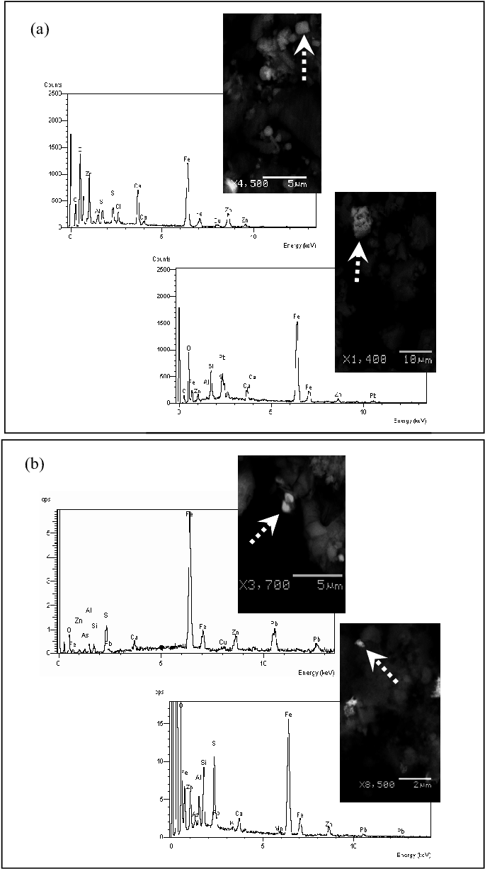 Figura 4 Microfotografías Y Análisis Químico Puntual - Diagram (697x1240), Png Download