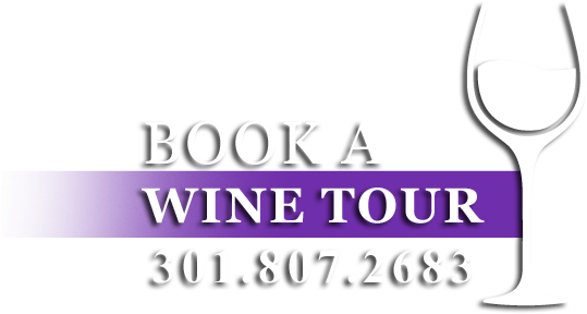 Wine Glass (667x382), Png Download