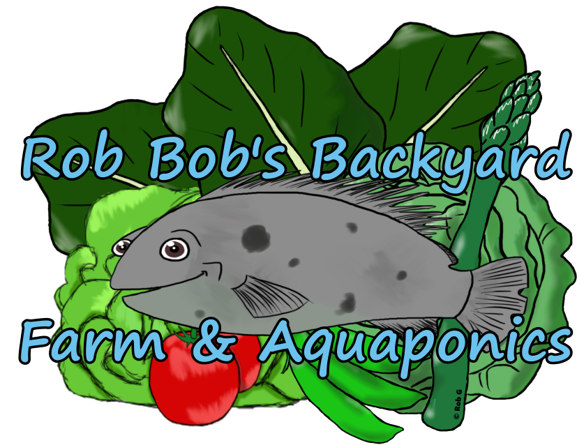 Card Png - Bit (1000x650), Png Download