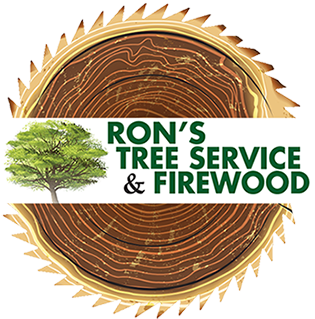 Eco Eco Eco - Stump Grinder (360x360), Png Download