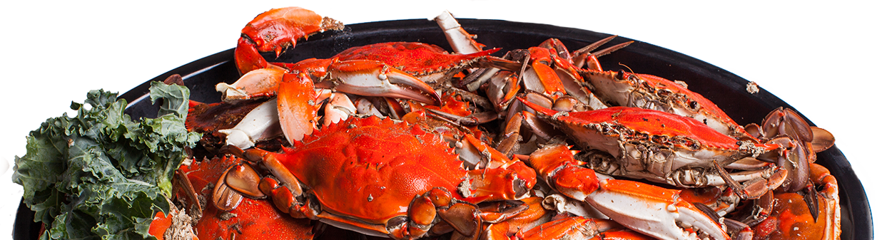 View Our Menus (1236x337), Png Download