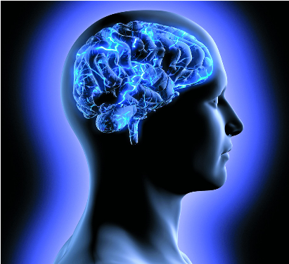 Los Nuevos Dispositivos Pueden Ser Usados Para Escanear - Brain Supplements: Everything You Need To Know Ntal (667x375), Png Download