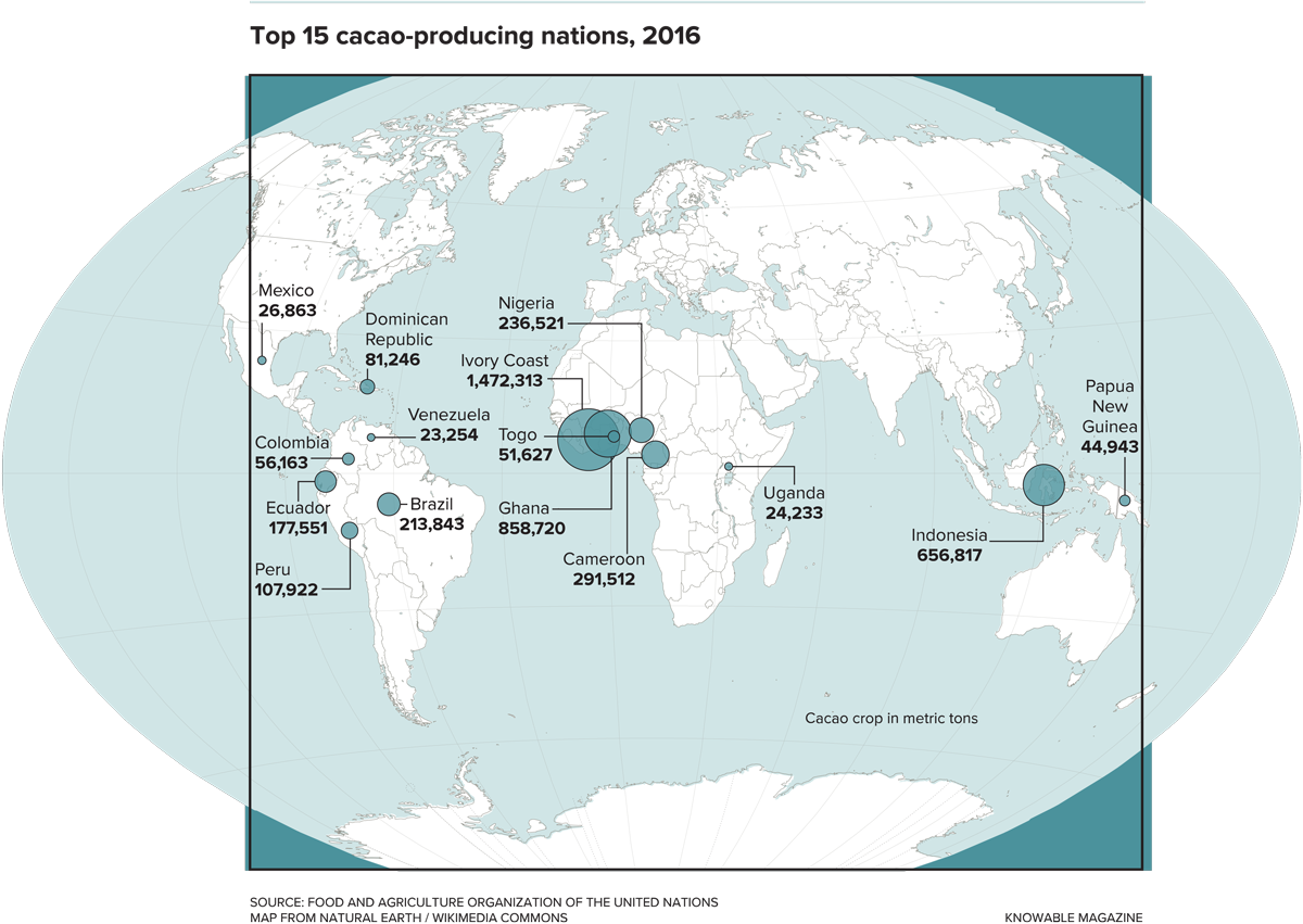 Cacao Grows In A Narrow Band Straddling The Equator - Ghana (1200x851), Png Download