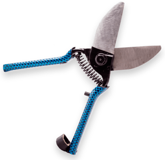 Nuestra Tijera - Serrated Blade (568x551), Png Download
