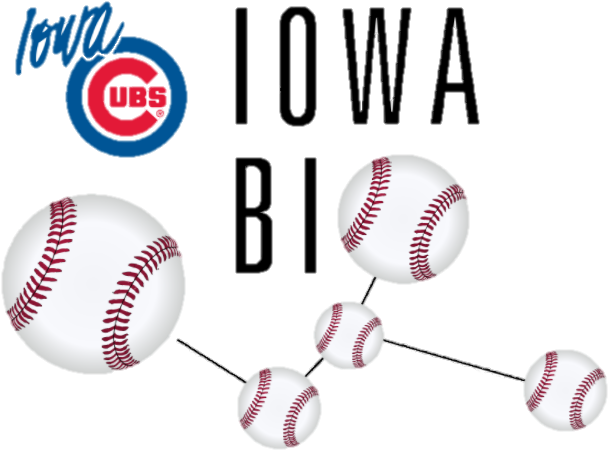 Iowa Cubs Outing Sponsorship - Cafepress Design King Duvet (730x535), Png Download