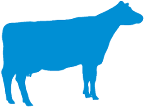 Cow-logo - Milk Cow Logo Png (462x350), Png Download
