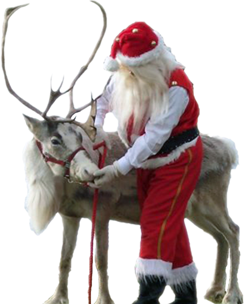 The Best Christmas Attraction Ever - Real Santa And Reindeer Png (500x595), Png Download