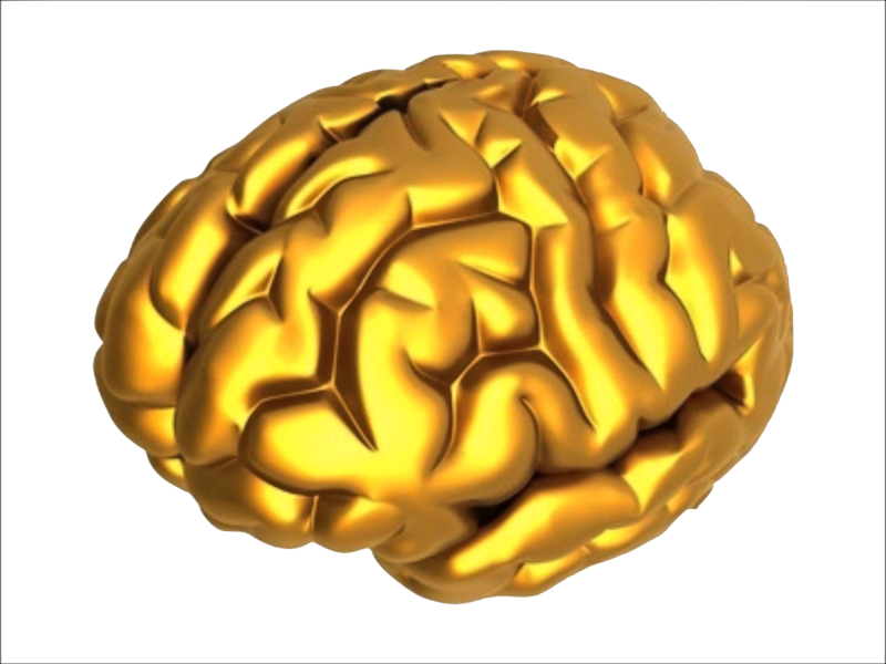 Marble, Gold And Glitter - Brain Gold (800x600), Png Download