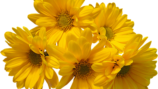 Aesthetic For Ut Kin - Yellow Flowers Aesthetic Png (640x360), Png Download
