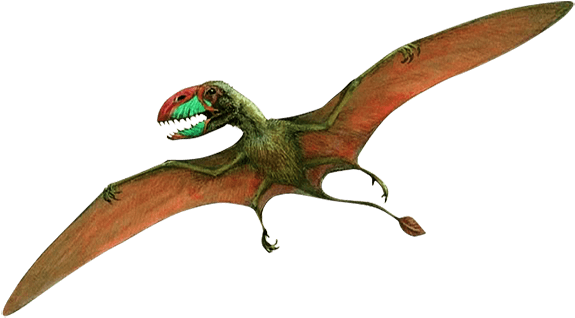 Bones Of Dinosaurs Foot - Flying Dinosaur Png (600x338), Png Download