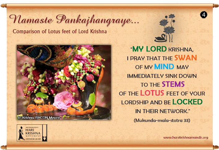 वैदिक शास्त्रों में भगवान् कृष्ण के चरण कमलों की तुलना - Lord Krishna Lotus Feet Iskcon (720x494), Png Download