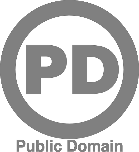 Copyright-free, Logo, Cc0, License, Pd, Round, Gray - Logo Libre De Droit (585x640), Png Download