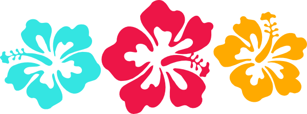Hibiscus Flower Clipart - Big Island Tv Logo (600x224), Png Download