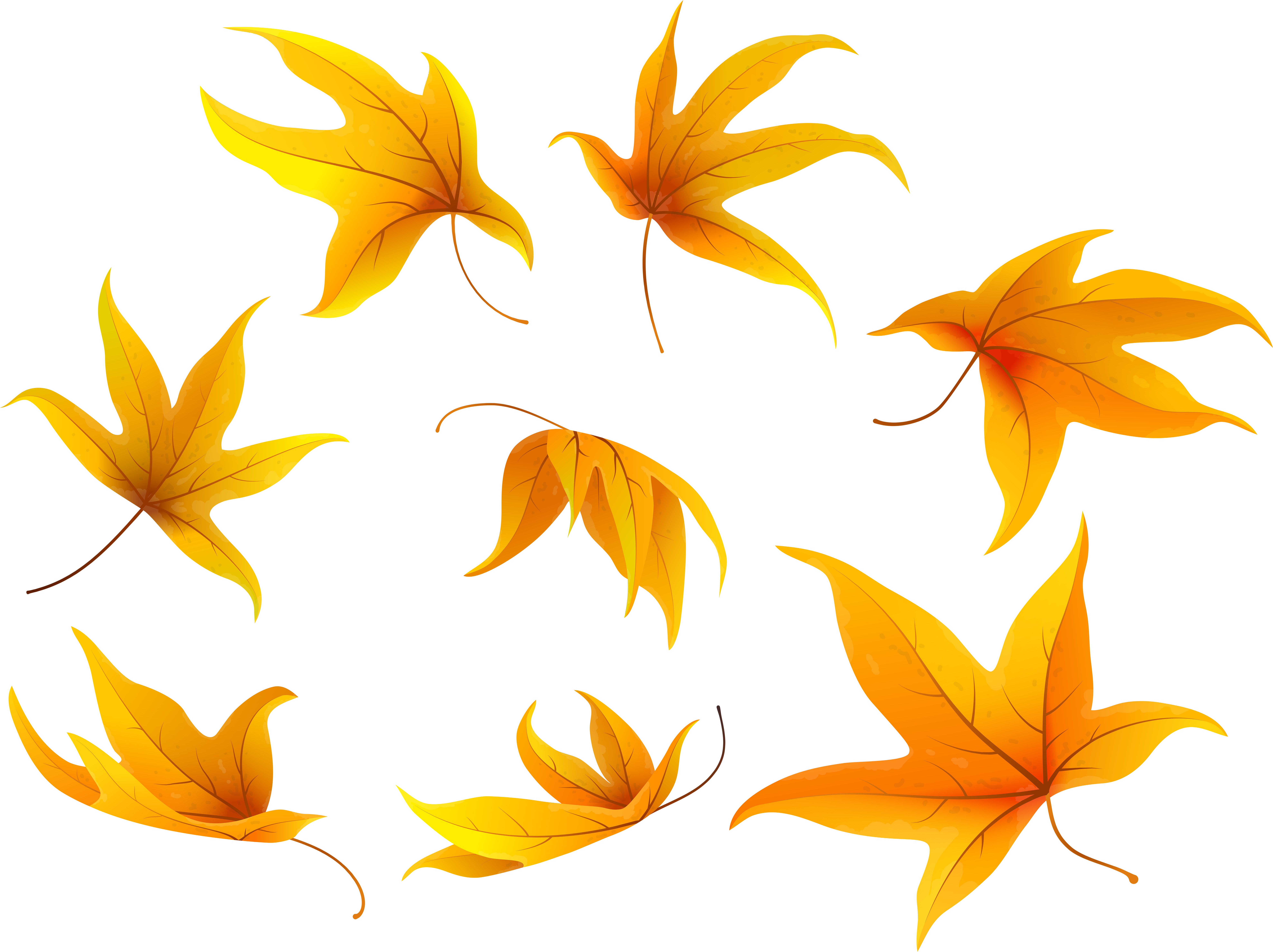 Fall Leaves Png (8000x5997), Png Download