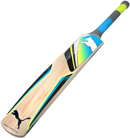 Puma Calibre Cricket Bat Profile - Cricket (500x500), Png Download