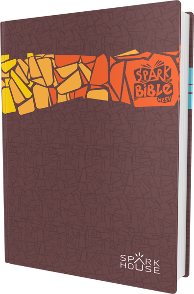 Spark Bible Gift Edition - Spark Bible Nrsv (396x600), Png Download