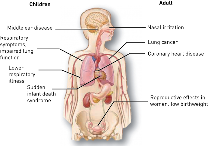 The Dangers Of Second-hand Smoke Exposure - Diseases Does Smoking Cause (690x483), Png Download