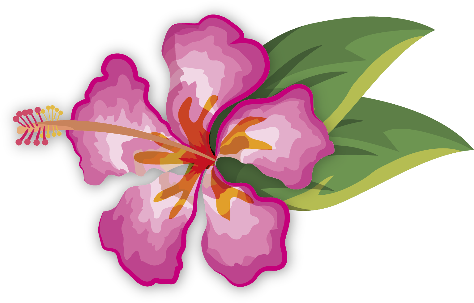 Hibiscus Flower Clip Art Transparent Background