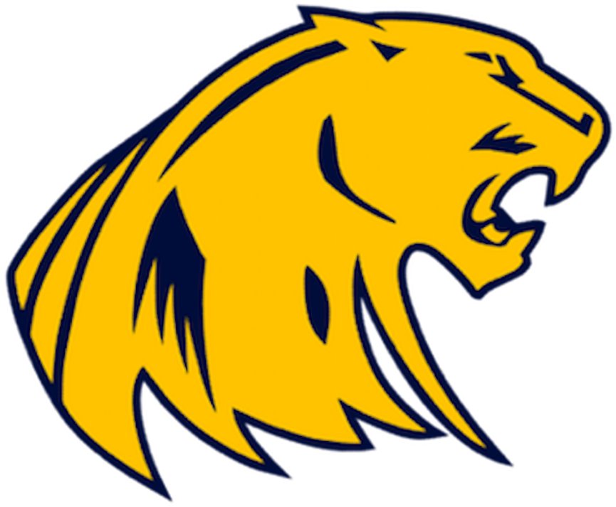 South Lyon Panthers Youth Football - South Lyon Silver Panthers (1024x780), Png Download