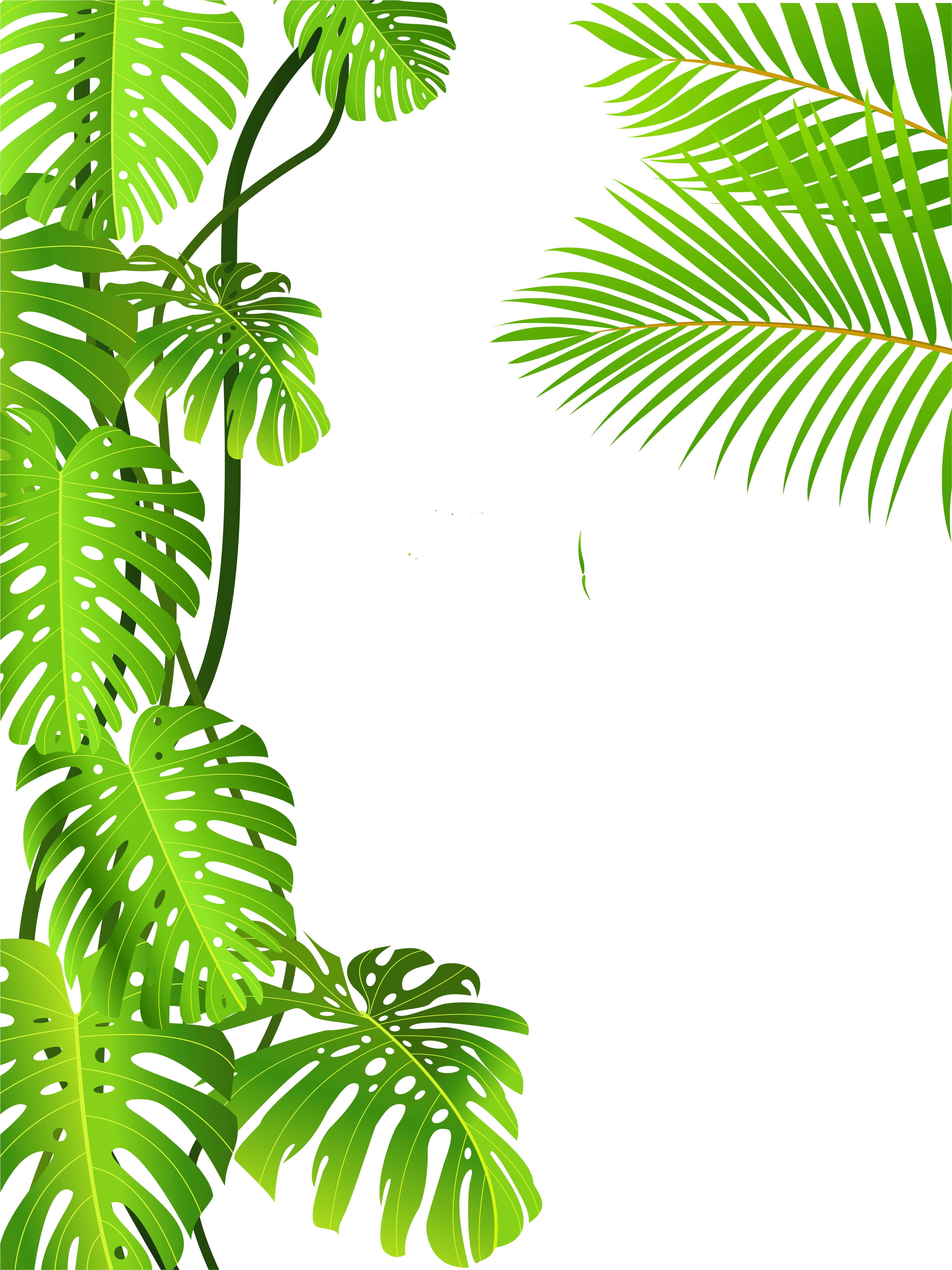 Image Freeuse Royalty Free Clip Art Forest Royaltyfree - Tropical Rainforest Tropical Leaves Png (5877x6031), Png Download