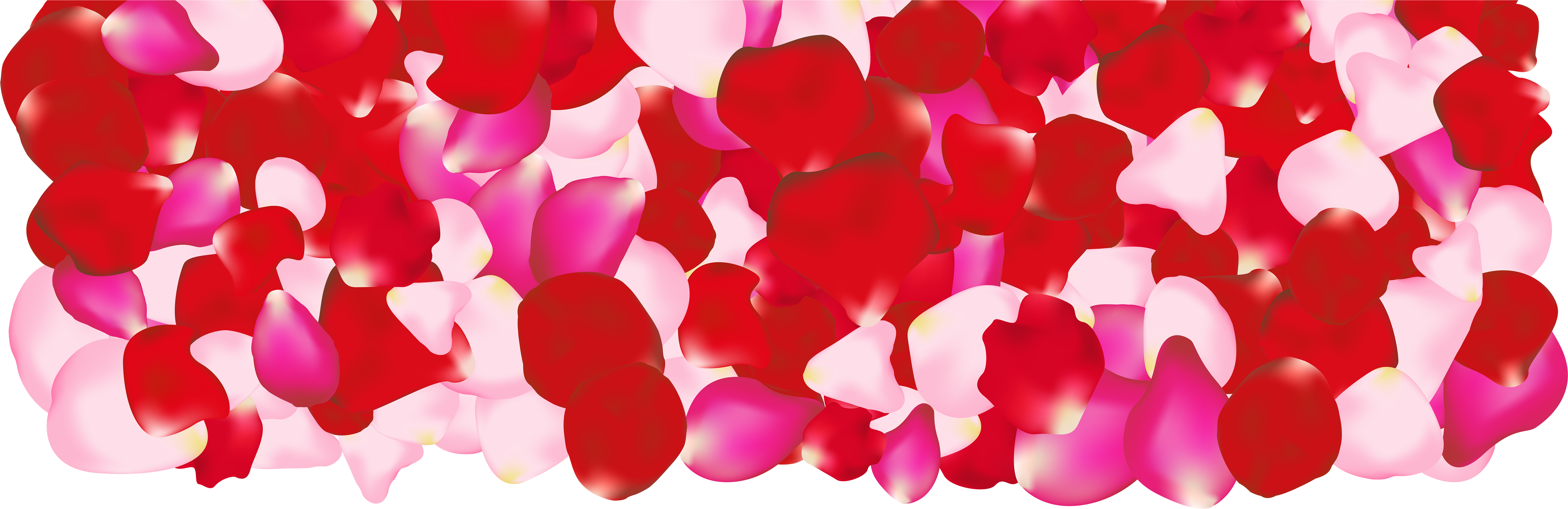 Clip Art (8000x2679), Png Download