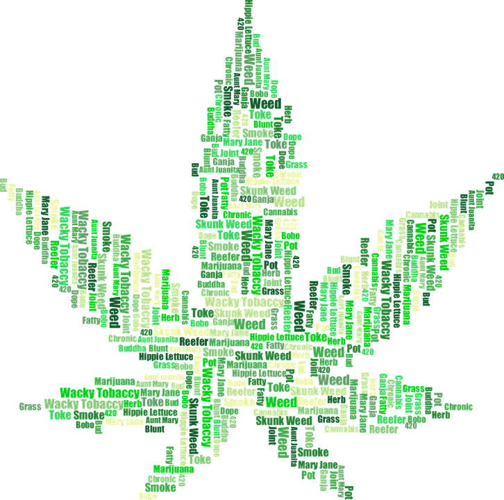 Marijuana, Drugs, Cannabis, Hemp, Leaf, Plant, Pot - Word Plant Clip Art (726x720), Png Download