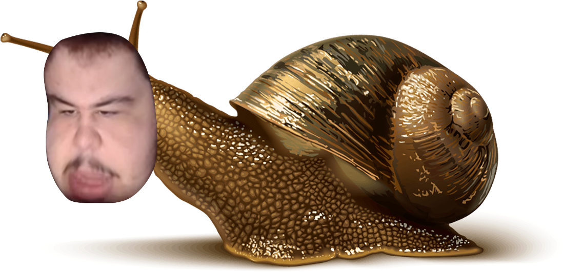 Link - - Charmzone Feverlet Snail Cover Cc Cushion (1400x700), Png Download