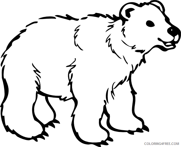 Grizzly Bear Bear 20clip 20art Bear 1 Png Vqxww8 Coloring - Bear Cartoon Black And White (600x488), Png Download