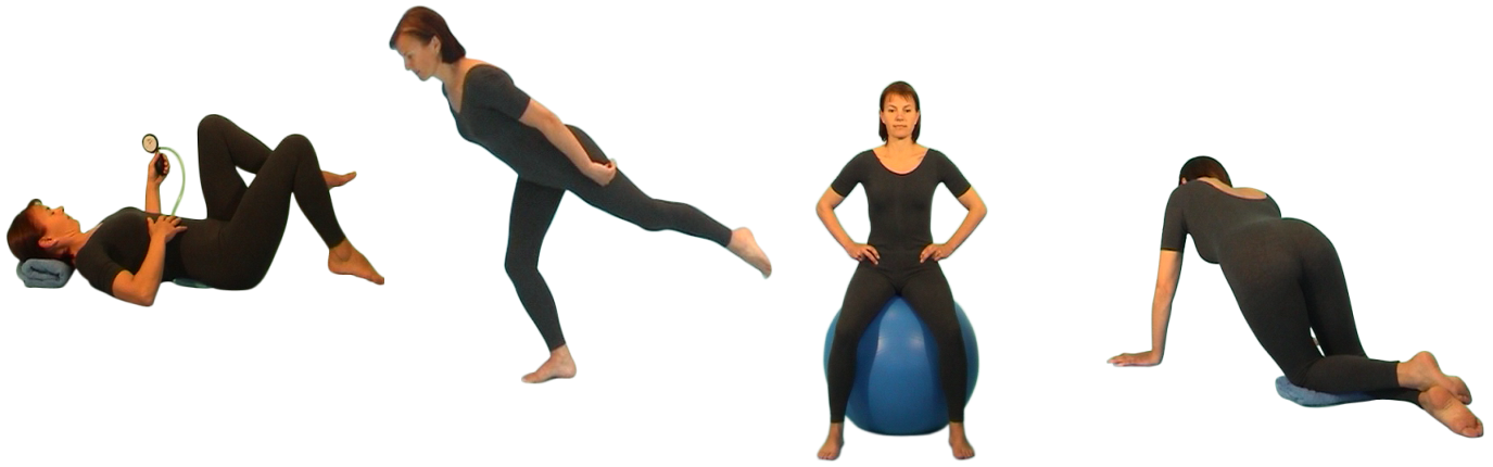 Lumbopelvic - Urinary Incontinence (1375x430), Png Download