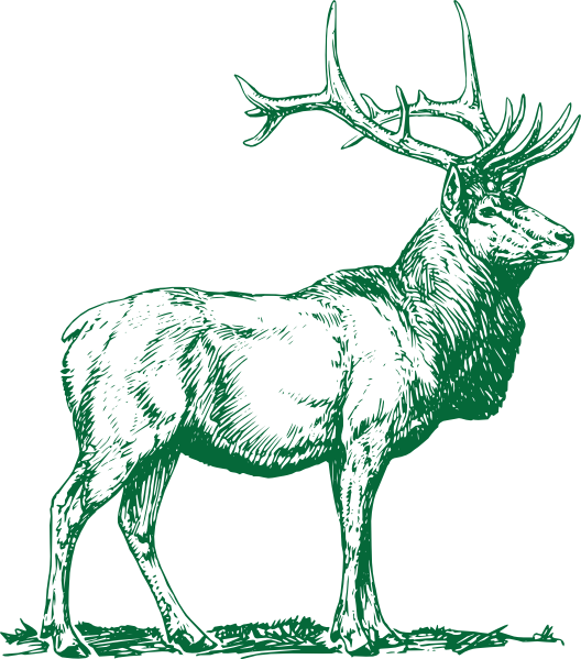 Small - Elk Vector (528x599), Png Download