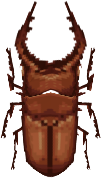 Download Zip Archive - Rhinoceros Beetle (750x650), Png Download