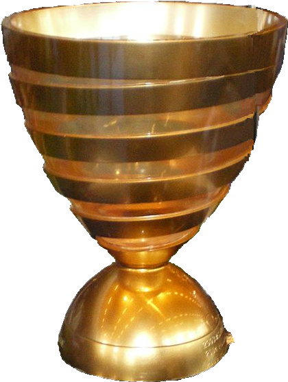 Copa De La Liga De Francia2 - Copa De La Liga Francesa (459x579), Png Download