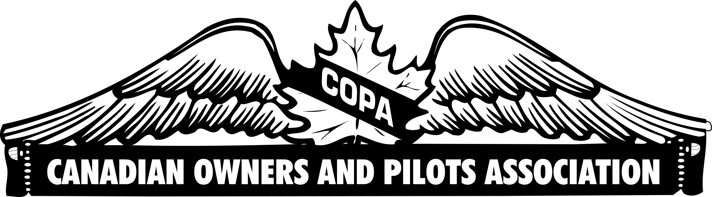 Copa Logo Png Transparent - Copa América (2400x665), Png Download