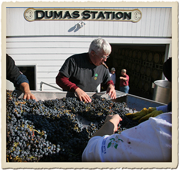 Doug (400x372), Png Download