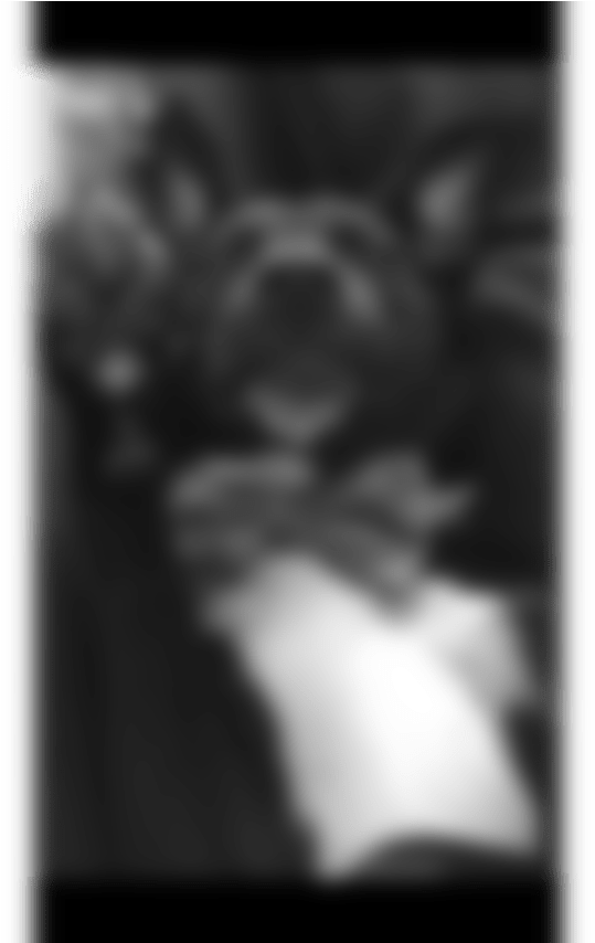Monochrome (1280x853), Png Download