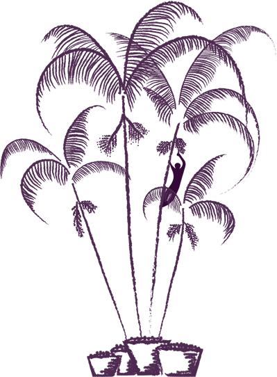 El Acai - Organic - Açai Draw (399x542), Png Download