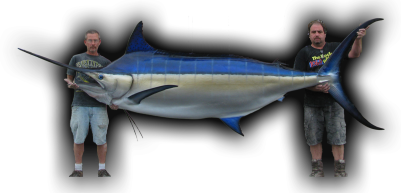 154\ - Blue Marlins (800x386), Png Download