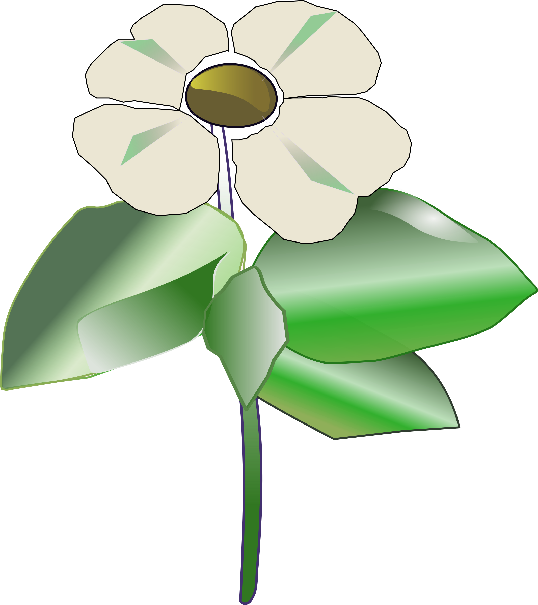 This Free Icons Png Design Of Pacific Dogwood (2132x2400), Png Download