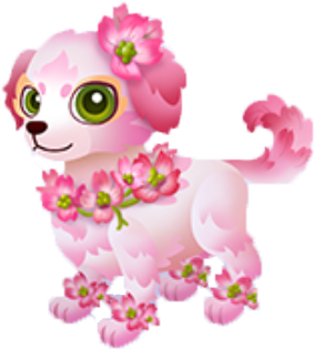 Dogwood Juvenile - Wiki (412x412), Png Download