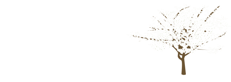 Dogwood Home And Design - Design (800x313), Png Download