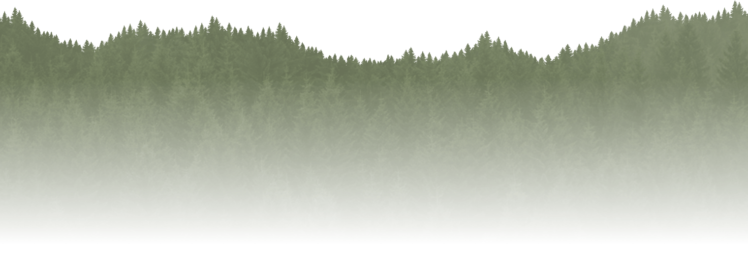 Brewery Shop Gift Cards Careers Events Franchise Twin - Pine (1520x530), Png Download