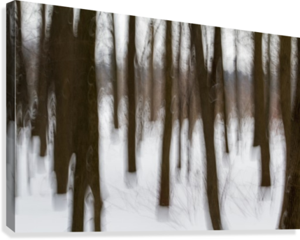 Motion Blur Of Trees - Icicle (429x344), Png Download