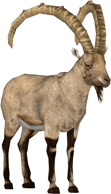 Ibex - Pyrenean Ibex Png (642x642), Png Download